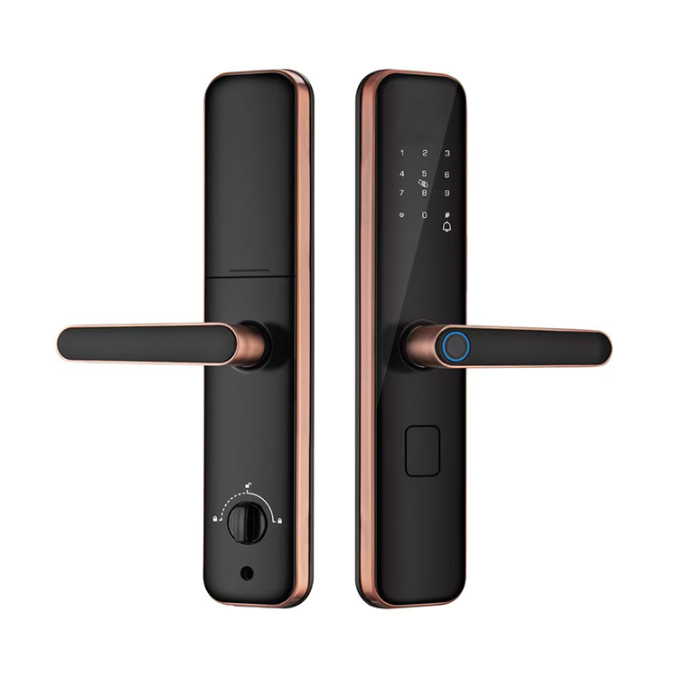 Password Smart Door Lock