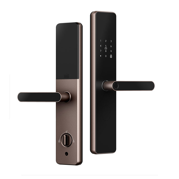 Tuya App Wifi Smart Door Lock