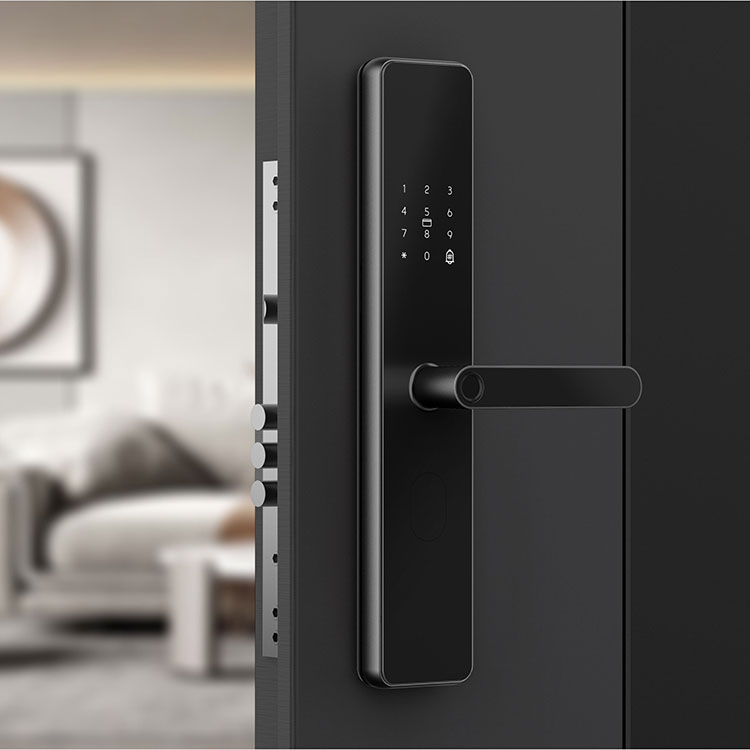 Tuya App Wifi Smart Door Lock